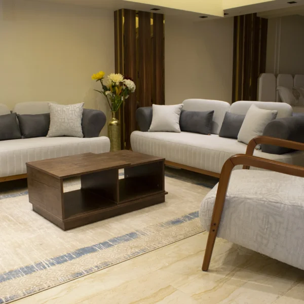 انترية, انتريهات,غرف معيشة, انتريهات مودرن, صالونات مودرن, كنب, living room, sofa