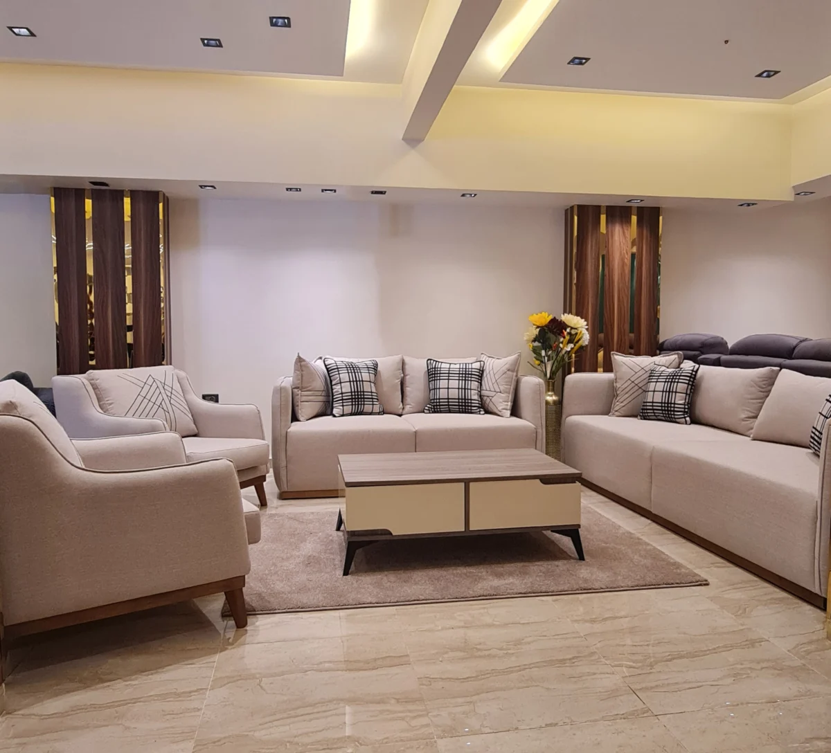 انترية, انتريهات,غرف معيشة, انتريهات مودرن, صالونات مودرن, كنب, living room, sofa