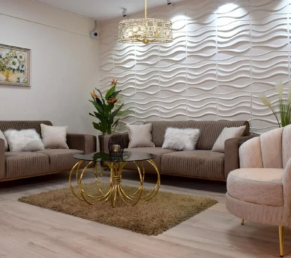 انتريه رالي -living room